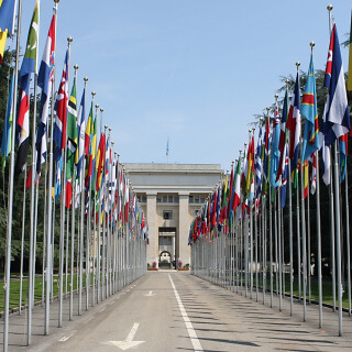 Geneva City 03
