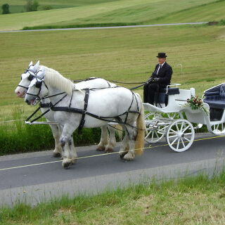  Horse Carriage 2