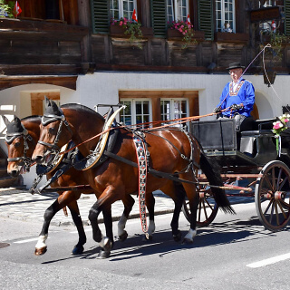  Horse Carriage 4